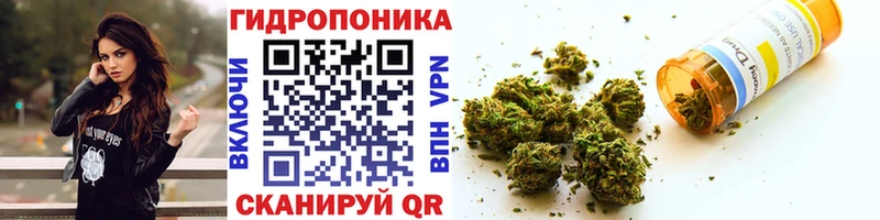 Конопля SATIVA & INDICA  Улан-Удэ 